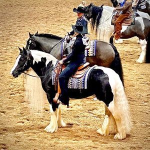 Meet your Posher, Dani